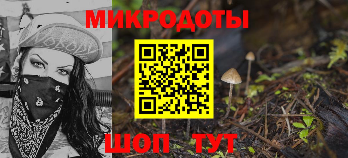 Учалы  Галлюциногенные грибы Cubensis  Вход с VPN 