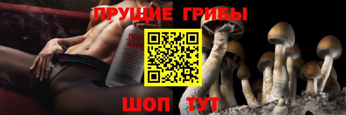 Галлюциногенные грибы Psilocybine cubensis Учалы